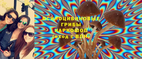 прущие крисы Алзамай